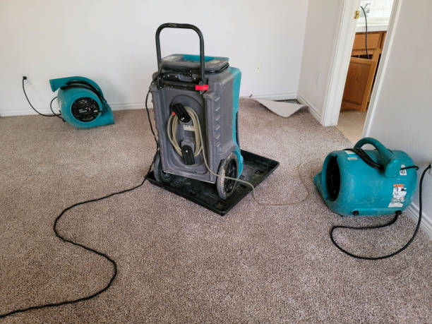 Best Residential water damage restoration  in Perrysburg, OH