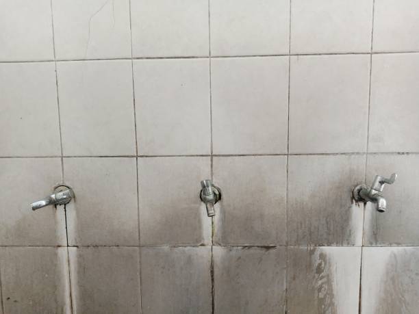 Best Flood restoration services  in Perrysburg, OH