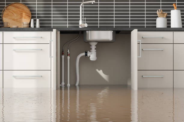 Best 24-hour water damage restoration  in Perrysburg, OH