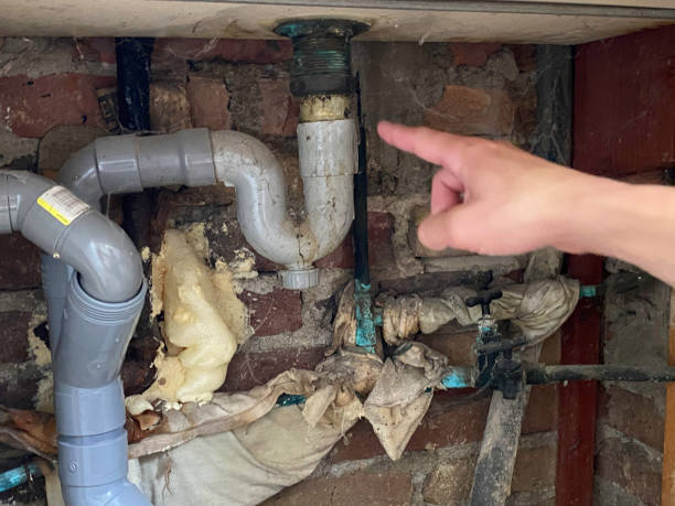  Perrysburg, OH Water damage restoration Pros