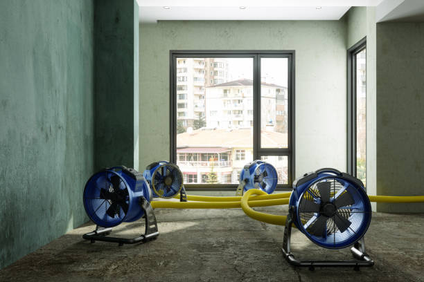 Best 24/7 water damage repair  in Perrysburg, OH